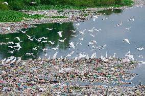 Environmental Pollution In Bangladesh