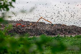 Environmental Pollution In Bangladesh