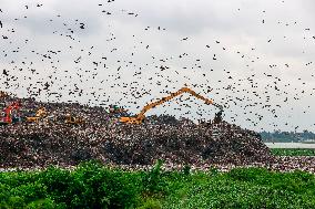 Environmental Pollution In Bangladesh