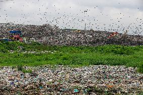 Environmental Pollution In Bangladesh