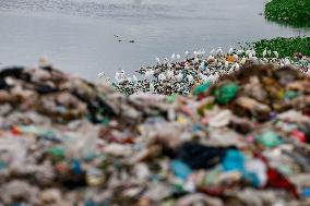 Environmental Pollution In Bangladesh