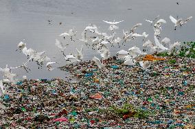 Environmental Pollution In Bangladesh