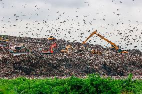 Environmental Pollution In Bangladesh