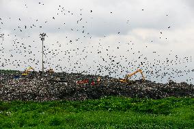 Environmental Pollution In Bangladesh