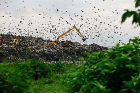 Environmental Pollution In Bangladesh