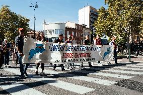 Inter-Union Mobilization in Toulouse - France