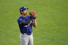 Baseball: Division Series between Dodgers and Phillies