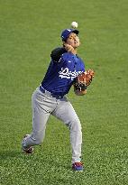 Baseball: Division Series between Dodgers and Phillies