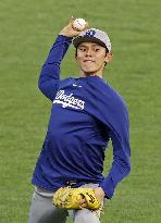 Baseball: Division Series between Dodgers and Phillies