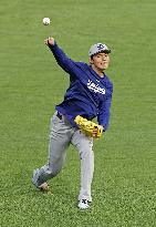 Baseball: Division Series between Dodgers and Phillies