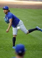 Baseball: Division Series between Cubs and Brewers