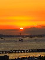 Shenzhen-Zhongshan Link Sunset View