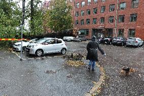 STORM AMY GOTHENBURG