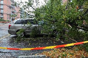 STORM AMY GOTHENBURG