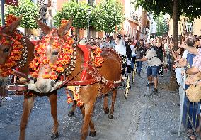 Wedding of Cayetano Martinez de Irujo and Barbara Mirjan - Seville