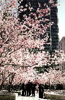 Illustration - Paris