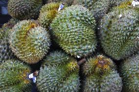 Illustration - Paris