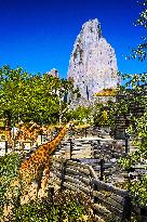 Illustration - Paris