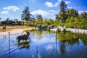 Illustration - Paris