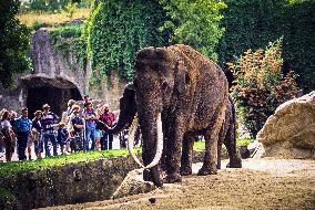 Illustration - Paris