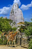 Illustration - Paris