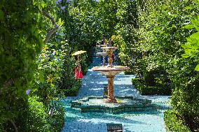 Illustration - Paris