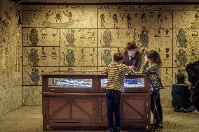 Illustration - Paris