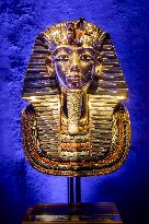 Illustration - Paris