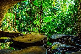 Illustration - Paris