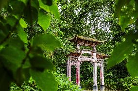 Illustration - Paris