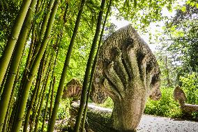 Illustration - Paris