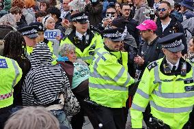 Pro-Palestine rally in London