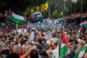 Demonstration in Support of Palestine Across Spain