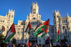 Demonstration in Support of Palestine Across Spain