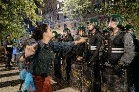 Demonstration in Support of Palestine Across Italy