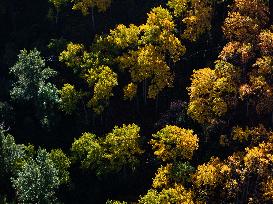 Issyk Gorge in Almaty Region - Kazakshta