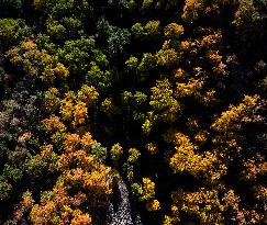 Issyk Gorge in Almaty Region - Kazakshta