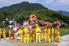 Straw-Woven Dragon Performance - China