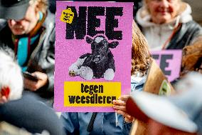 Protest Against The Livestock Industry - Amsterdam