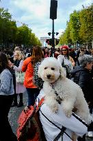 Animal Walk on the Avenue Des Champs Elysees - Paris