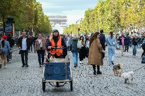 Animal Walk on the Avenue Des Champs Elysees - Paris