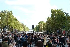 Animal Walk on the Avenue Des Champs Elysees - Paris
