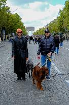 Animal Walk on the Avenue Des Champs Elysees - Paris