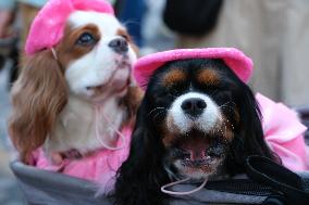 Animal Walk on the Avenue Des Champs Elysees - Paris