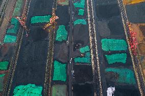 Yangtze River Wharf Coal Yard