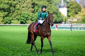 Qatar Arc de Triomphe - Paris