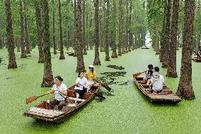 Tourists Row Boats At Luyang Lake Wetland Park - Yangzhou