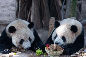 Giant Panda Celebrate Mid-Autumn Festival
