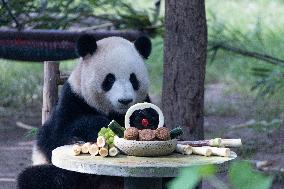 Giant Panda Celebrate Mid-Autumn Festival