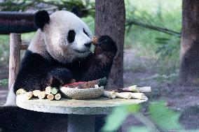 Giant Panda Celebrate Mid-Autumn Festival